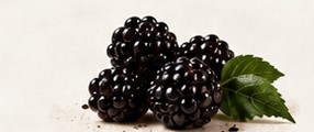 Glossy blackberries with a green leaf.