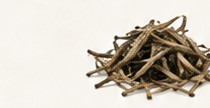 A small pile of dried white tea leaves.
