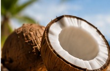 A split coconut showing the white flesh.