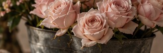 A cluster of pale pink roses.